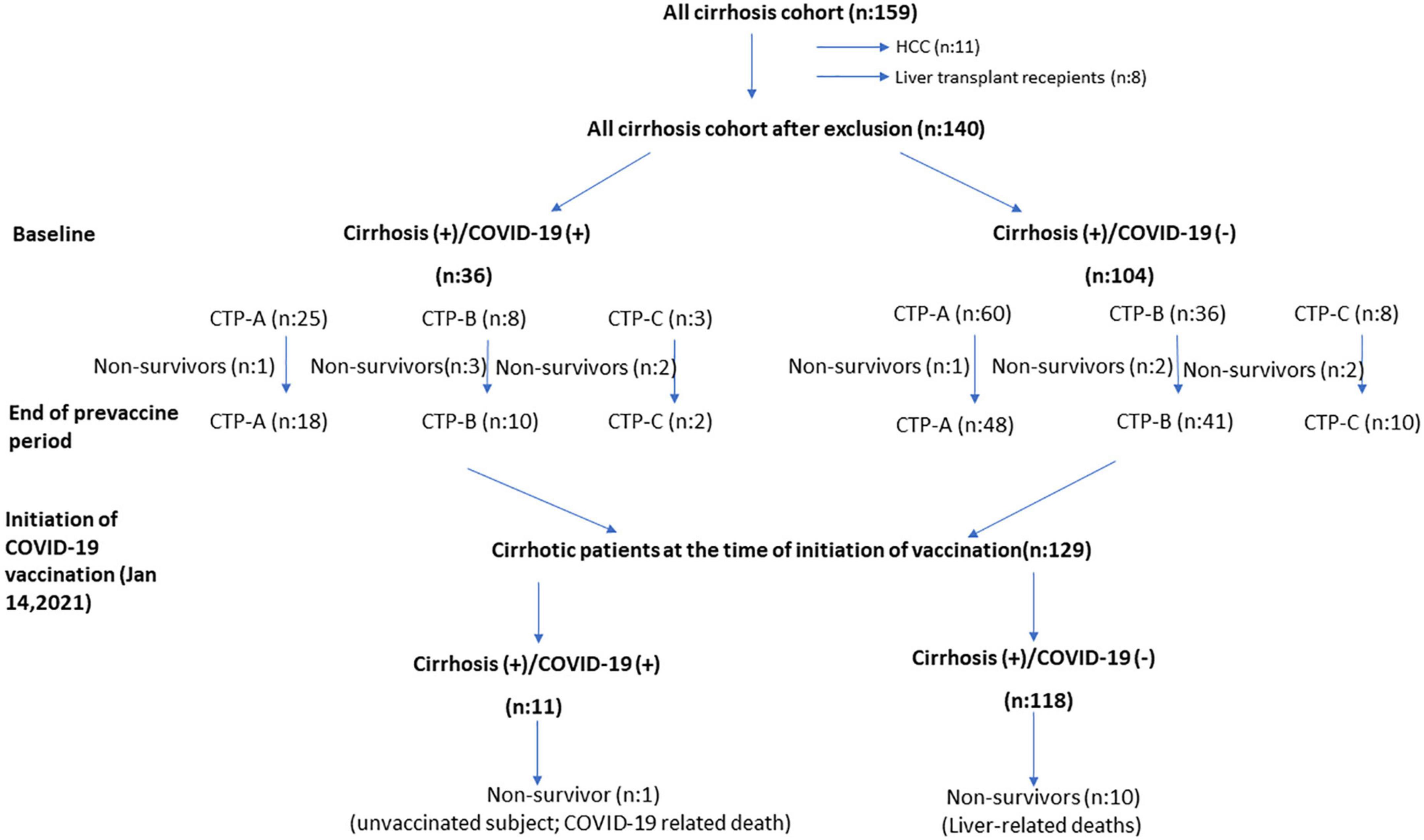 The impact of COVID-19 disease on the natural course of cirrhosis: Before and after starting vaccination
